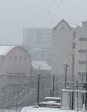 横浜にも雪、母校が雪景色に包まれました